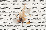 Secret Realm - Editorial Serif Font, a Serif Font by Kahade Studio (Thumbnail 9 of 16)