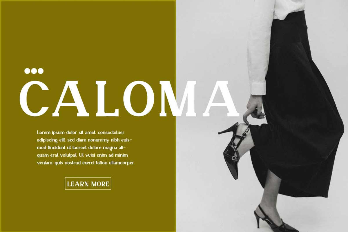 Veronika Display Font, a Serif Font by Cut Story (Photo 7 of 14)