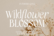 Wildflower Blossom - Modern Serif, a Serif Font by RagamKata (Thumbnail 1 of 10)