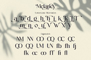 Melaney - Aesthetic Branding Serif, a Serif Font by Variatype (Thumbnail 10 of 10)