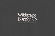 Forest Dreams | Whimsical Font, a Serif Font by gafaroff studio (Thumbnail 2 of 7)