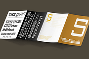 Vegelinu - Slab Display Family, a Slab Serif Font by Differentialtype (Thumbnail 3 of 12)