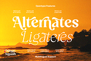 Orange Squash Pro - Vintage Serif, a Serif Font by Pixesia Studio (Thumbnail 9 of 10)