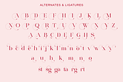 Adeston, a Serif Font by Sealoung (Thumbnail 9 of 11)