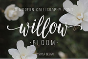 Willow Bloom modern calligraphy font, a Script Font by Angele Kamp (Thumbnail 1 of 6)