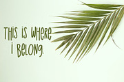The Island Sans, a Sans Serif Font by Beck McCormick (Thumbnail 3 of 6)