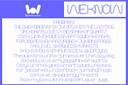 Polymath Font, a Sans Serif Font by weknow (Thumbnail 8 of 8)