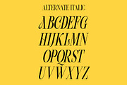 Beachwalk | Elegant Retro Serif, a Serif Font by Muntab_Art (Thumbnail 11 of 13)