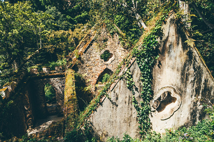 Ivy-covered ruins in Sintra forest