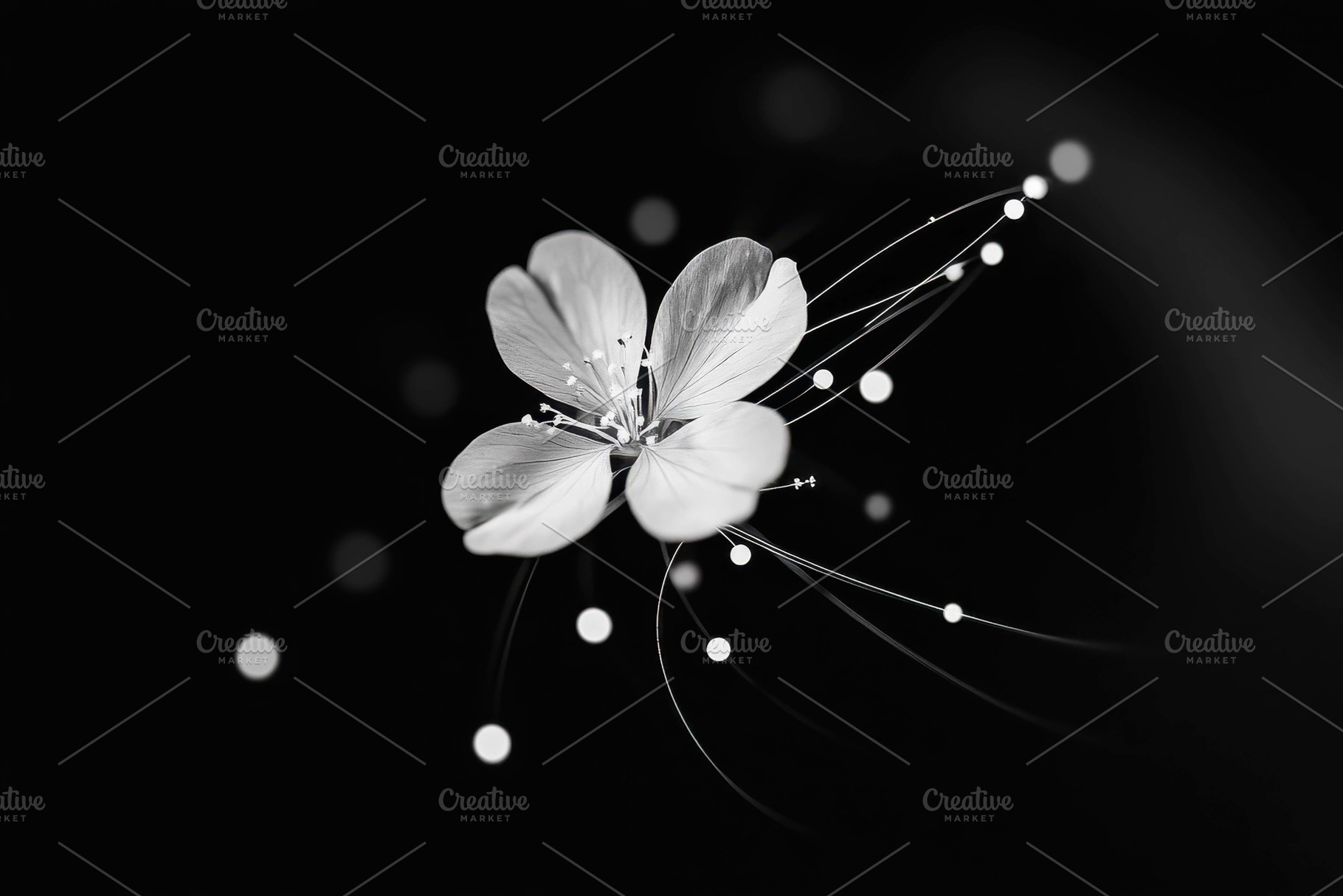 Delicate flower with fine strands an, a Photo by Tanuart