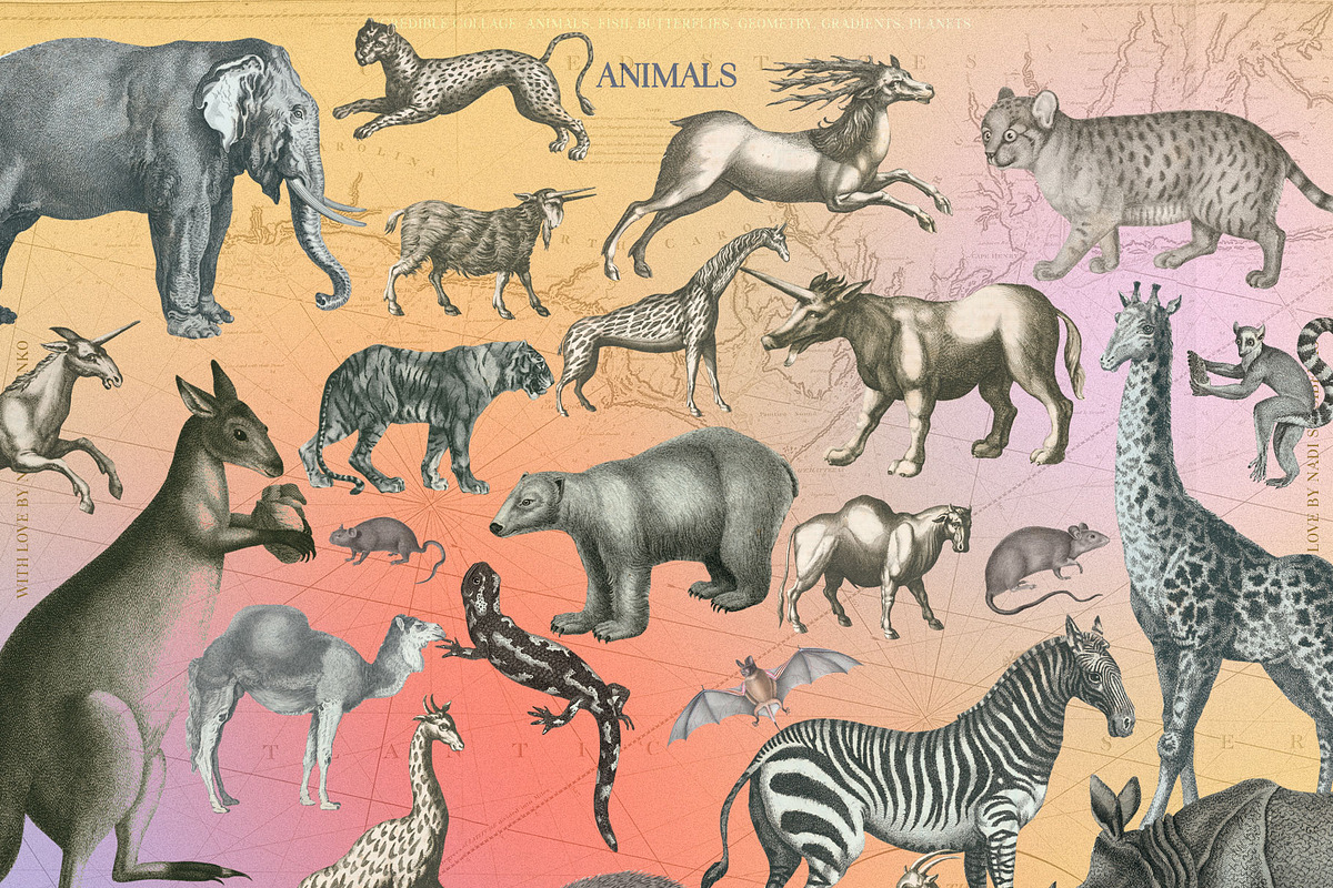 Incredible Collage, an Object Graphic by nadispasibenko (Photo 11 of 15)