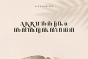 Wolffin - Bold Serif Font, a Serif Font by NTC Graphic (Thumbnail 11 of 13)