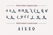 Roystorie Display, a Serif Font by Typia Nesia (Thumbnail 11 of 11)