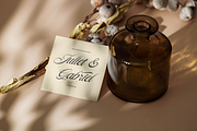 Sofiya Wiyona Classic Elegant Script, a Script Font by gracetype_studio (Thumbnail 8 of 11)