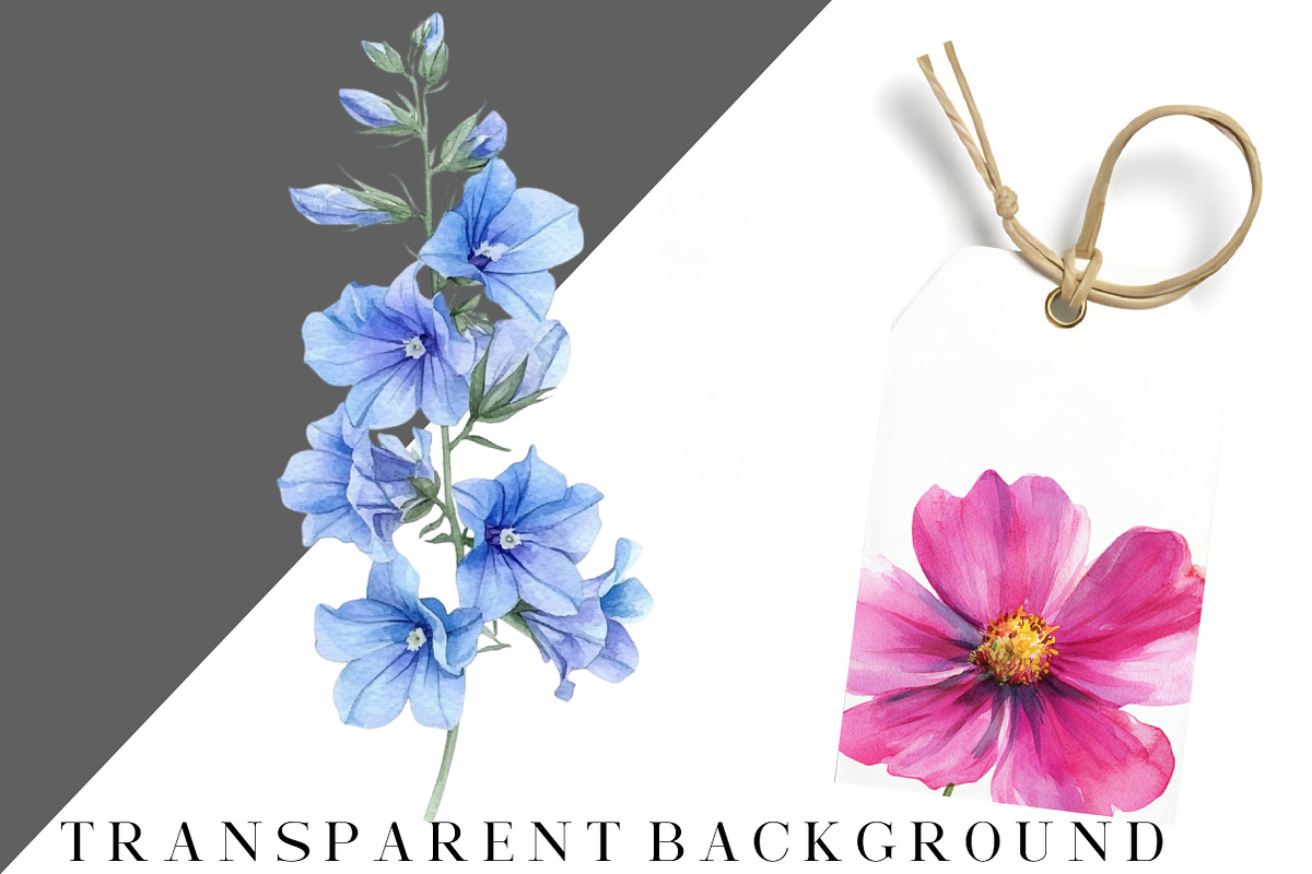 Wildflower Watercolor Flower Clipart, an Illustration by DreamCafeArt (Photo 7 of 8)