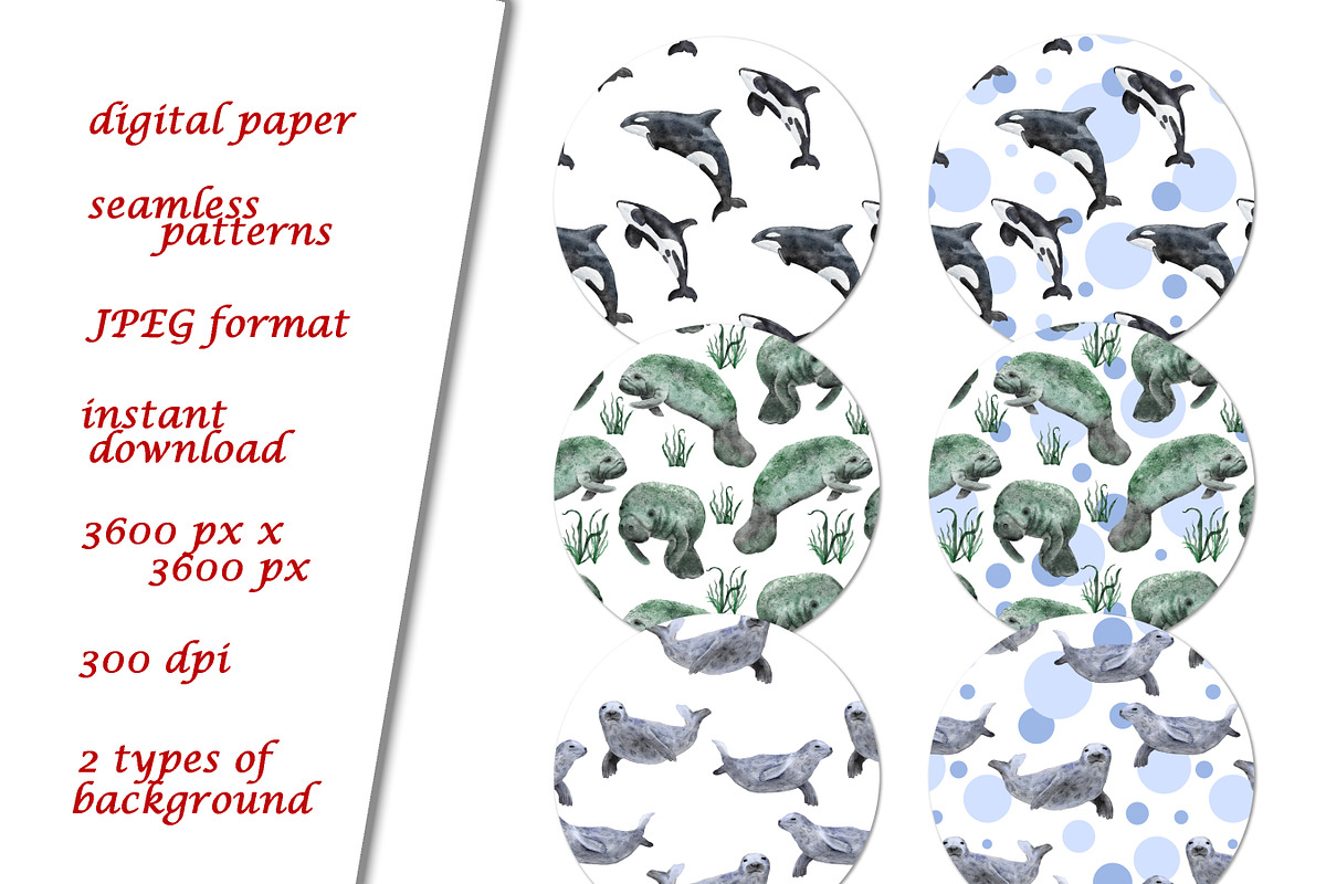 Sea Animals Clipart & Patterns, a Pattern Graphic by Lagmar Design (Photo 3 of 12)