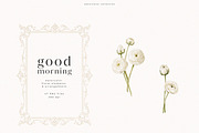 Good Morning Collection, a Decorative Illustration by PeDe Designs (Thumbnail 12 of 19)