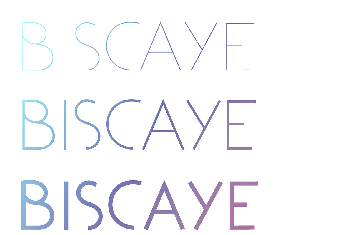 Biscaye preview 3
