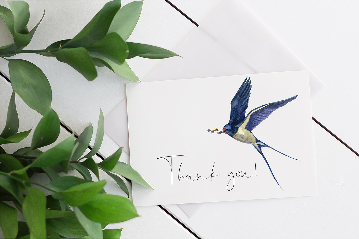 Watercolor bird swallow clipart png, an Animal Illustration by KomtsyanTatyanaArt (Photo 5 of 6)