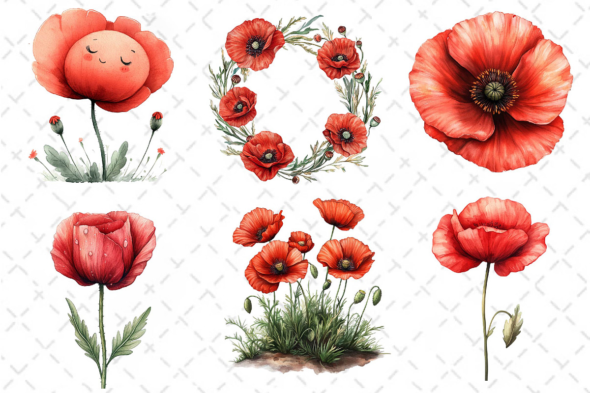 Poppy Flowers Clipart PNG, an Illustration by Dream Creation (Photo 2 of 6)