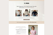 Systeme.io Tee Press Physical Funnel, a Landing Page Template by Hayley's Digital Hub (Thumbnail 10 of 10)