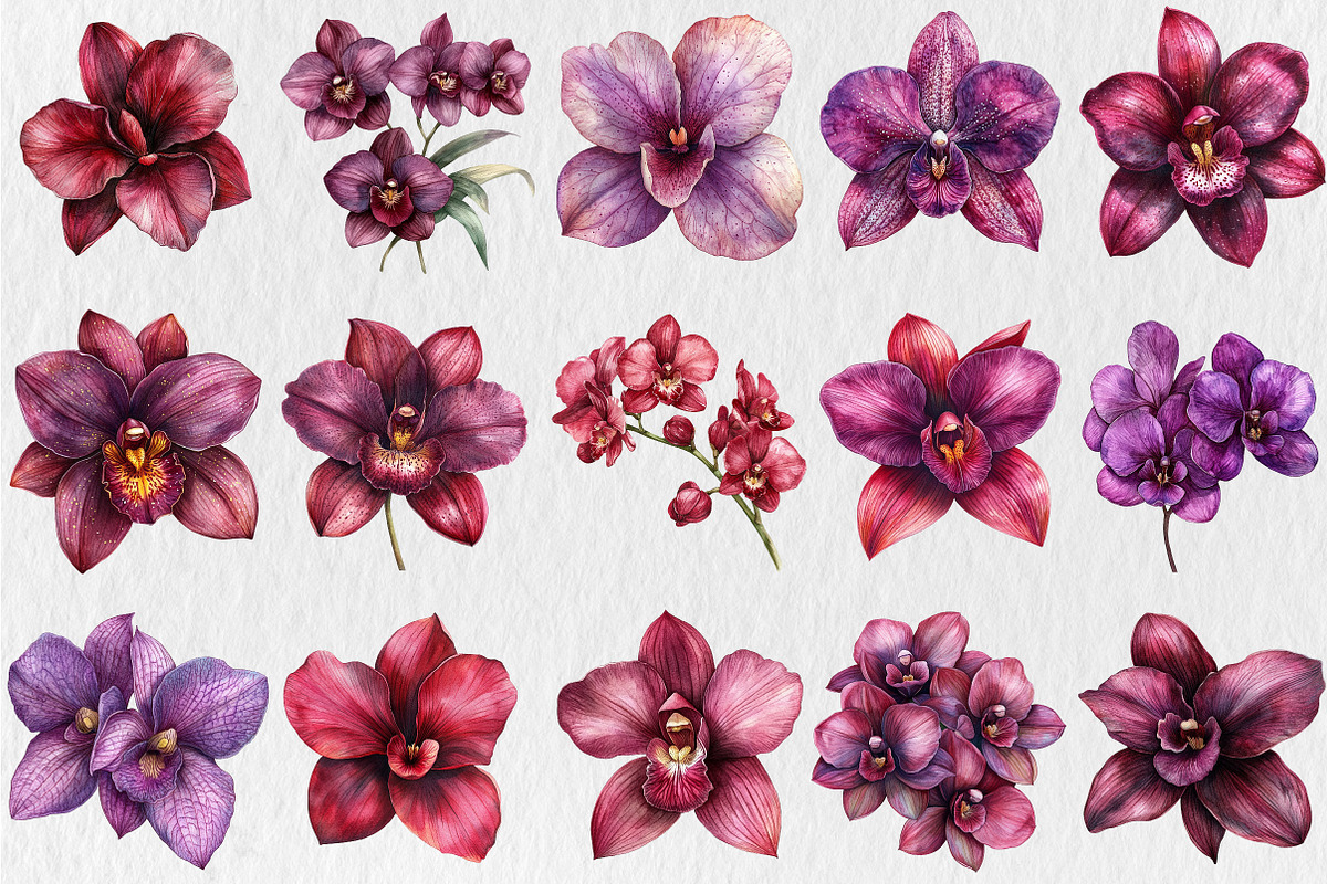 Watercolor Burgundy Orchids Clipart, a Seasonal Illustration by Rose Art (Photo 2 of 6)