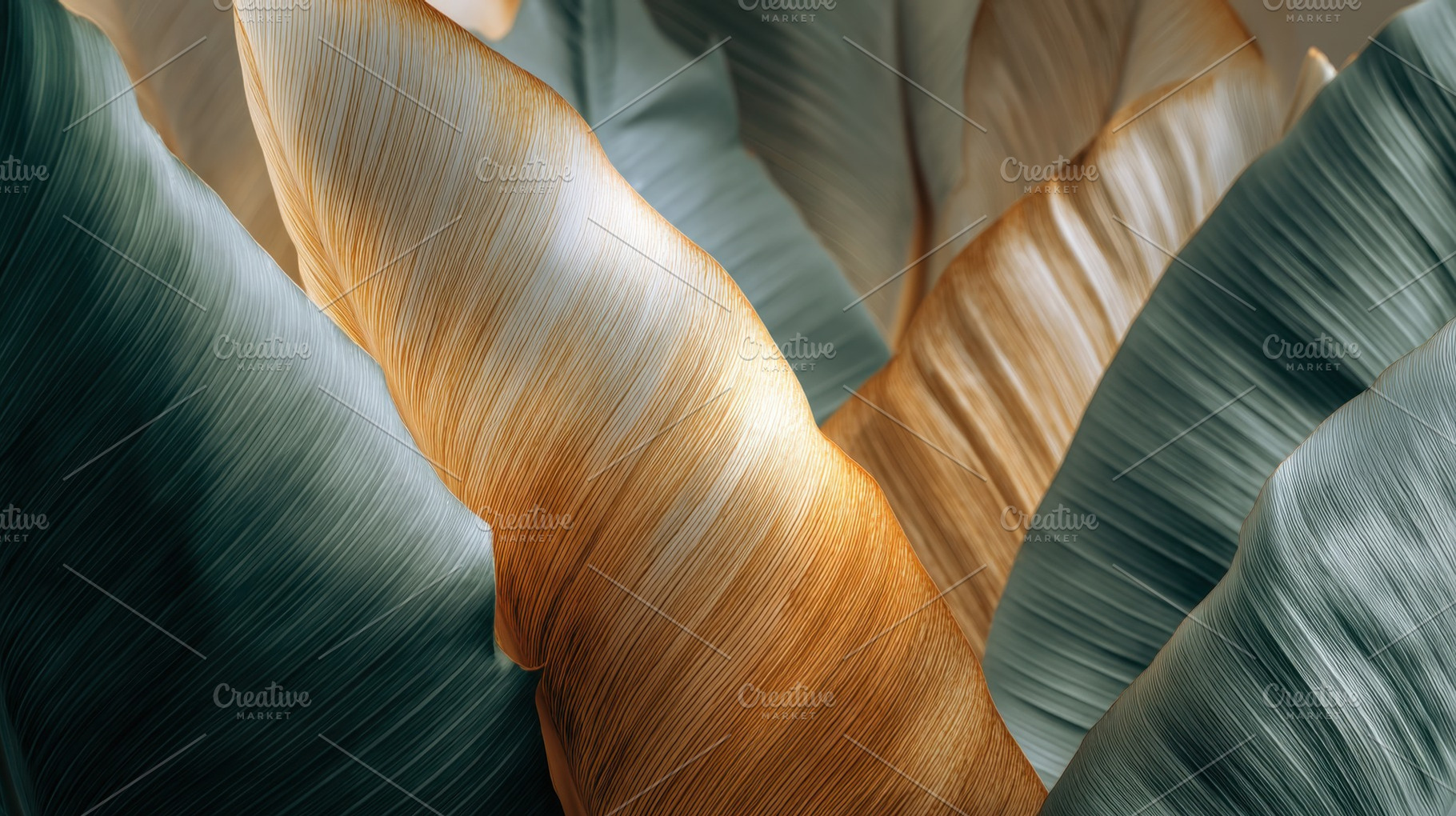 Beautiful leaves in soft light, a Photo by Beautiful things