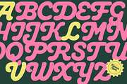 Roolie, a Script Font by Flavortype (Thumbnail 4 of 15)