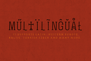 Zenzero Grotesk, a Font by Hederae Type Foundry (Thumbnail 4 of 6)