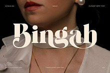 Bingah Elegant Serif Font