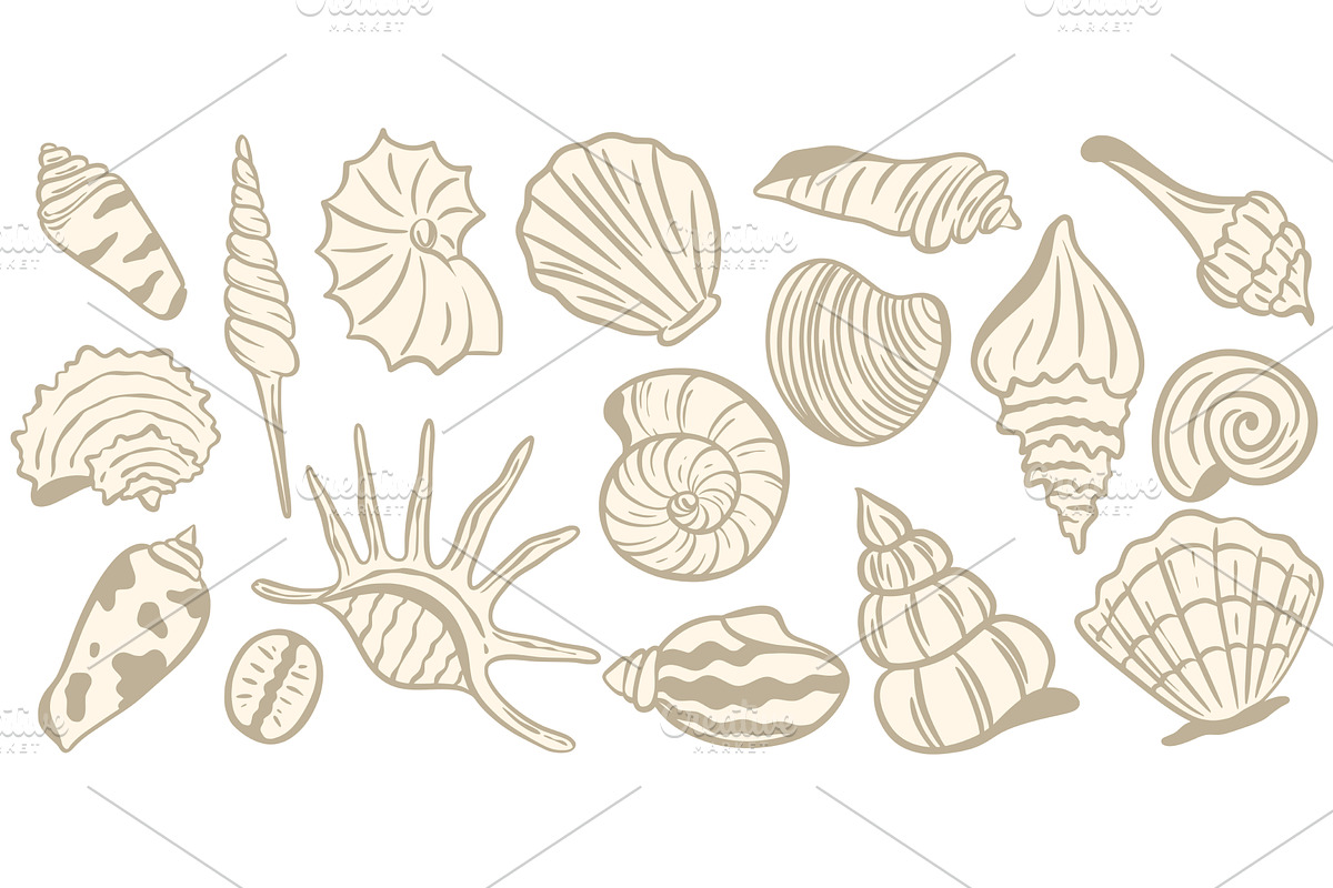 Beige seashells and mollusks hand, an Animal Illustration by Tati_Kli