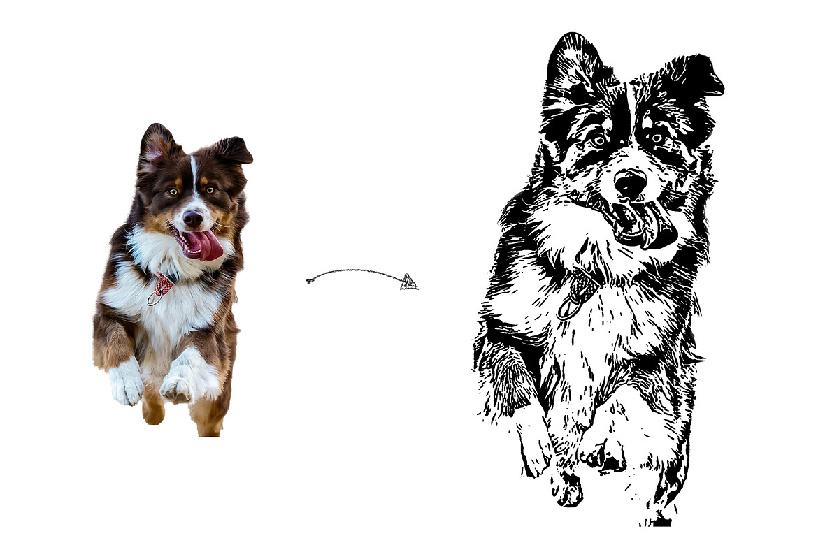 Pet Vector Trace Photoshop Effect, an Action Add-On by Shovajit (Photo 7 of 9)