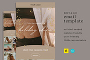 Holiday Shine Mailchimp Template, an Email Template by Edit & Go Templates (Thumbnail 1 of 3)