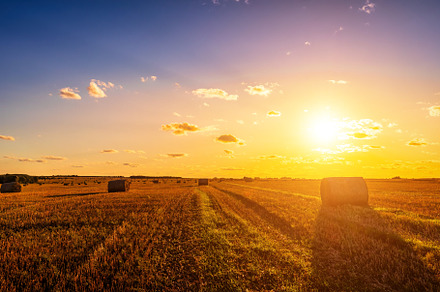 A field with haystacks at sunset., a Nature Photo by Eugene_Photo