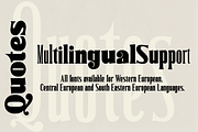 Delwyn Family, a Serif Font by jorse (Thumbnail 6 of 7)