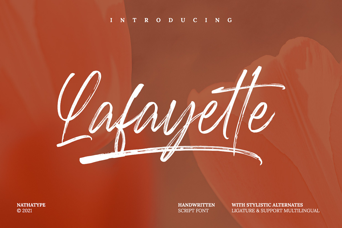 Lafayette, a Script Font by din-studio.com (Photo 1 of 15)