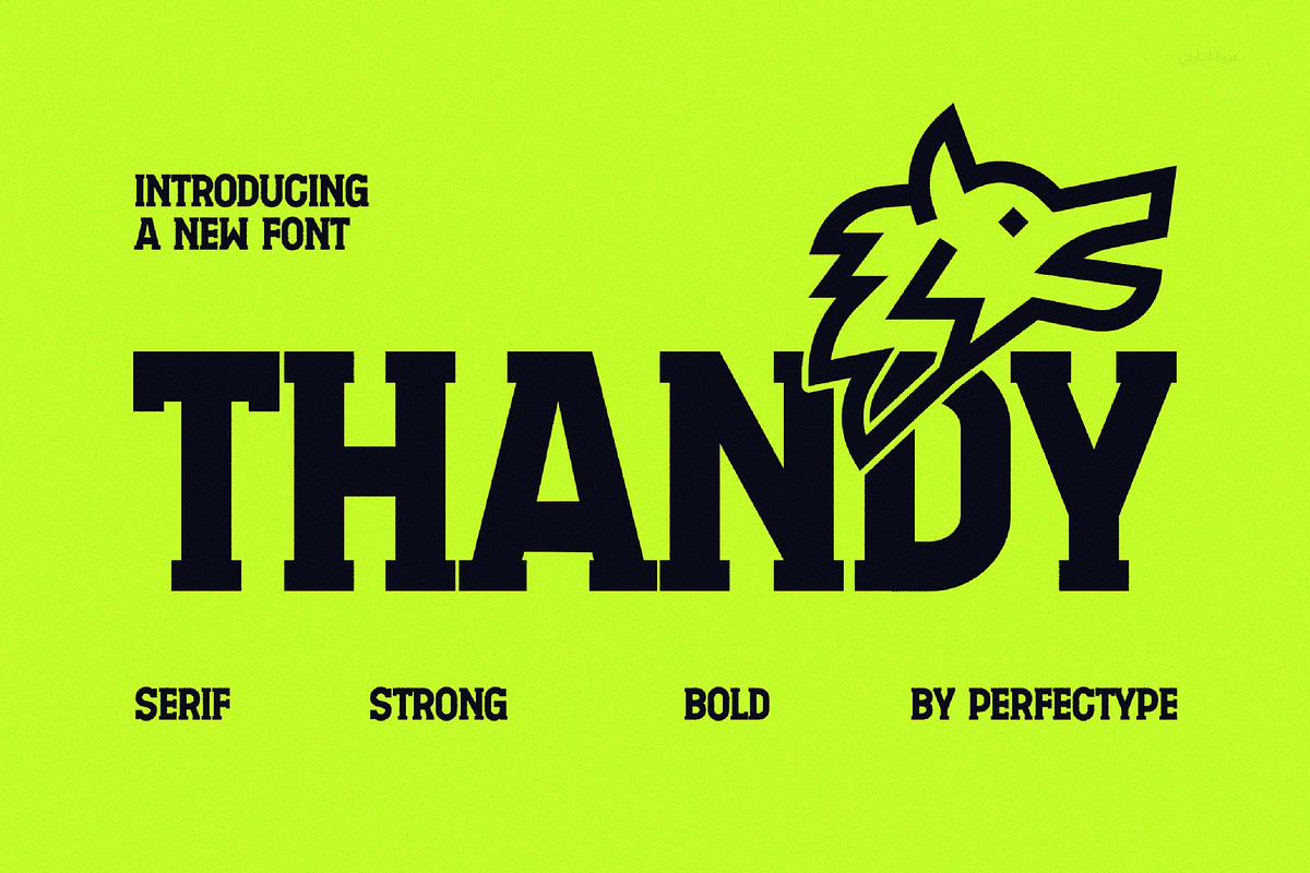 Thandy Modern Slab Serif, a Sans Serif Font by Perfectype (Photo 1 of 7)