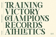 TT Vermolin — Modern Classy Serif, a Serif Font by truetype (Thumbnail 7 of 15)