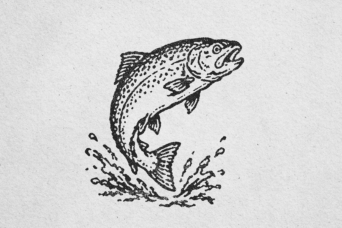Vintage Leaping Salmon Vector, an Animal Illustration by lettett (Photo 3 of 3)
