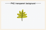 Park Tree, Pine and Plant Clip arts, a Decorative Illustration by Designfour (Thumbnail 5 of 6)
