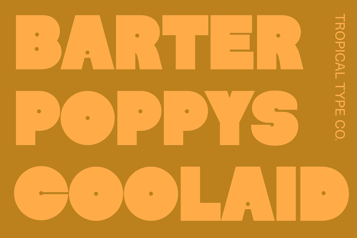 Willow Sans, a Sans Serif Font by Tropical Type (Photo 11 of 11)