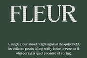 Jovelyn Disco, a Sans Serif Font by Craft Supply Co. (Thumbnail 2 of 8)