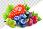 Isolated berries, an Object Graphic by Fruits+Veggies (Thumbnail 2 of 4)