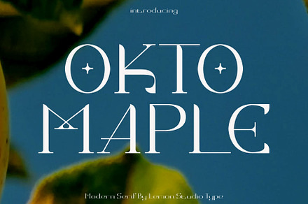 Okto Maple - Modern Serif