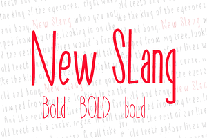 New Slang bold