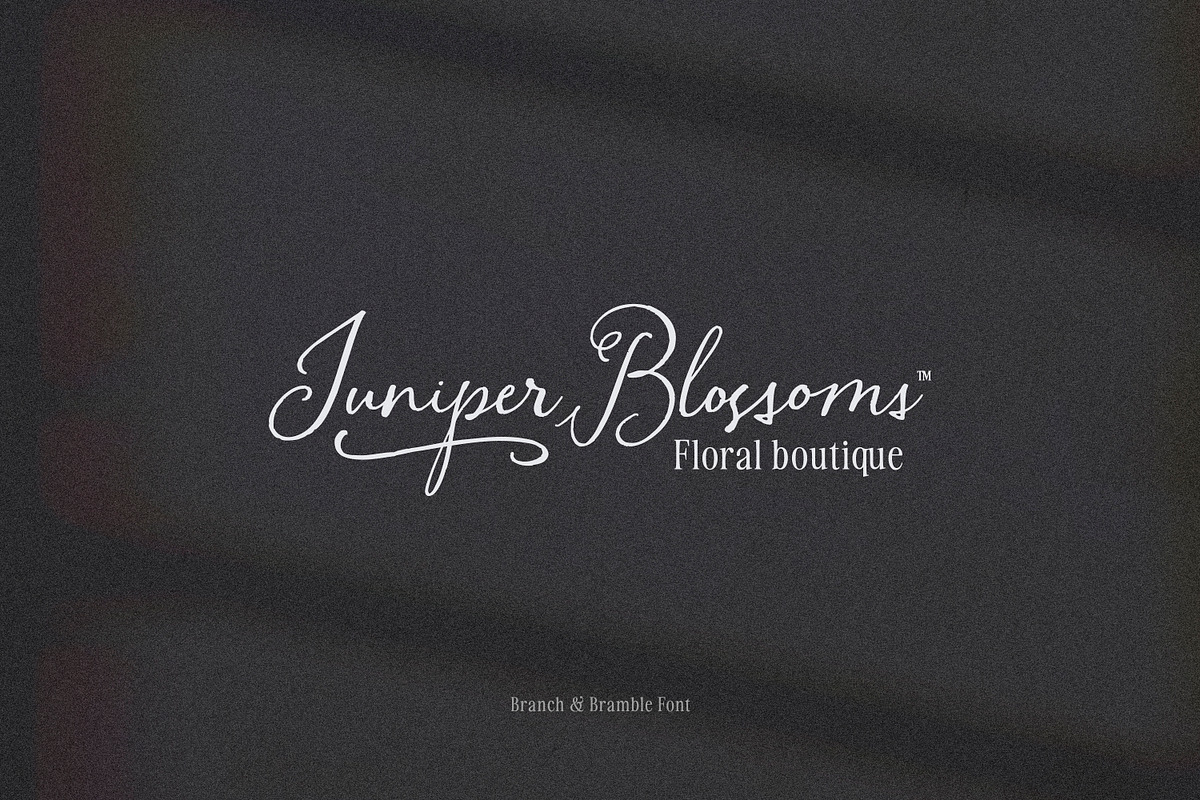 Branch & Bramble Calligraphy Font, a Script Font by Callie Rian & Co. (Photo 7 of 17)