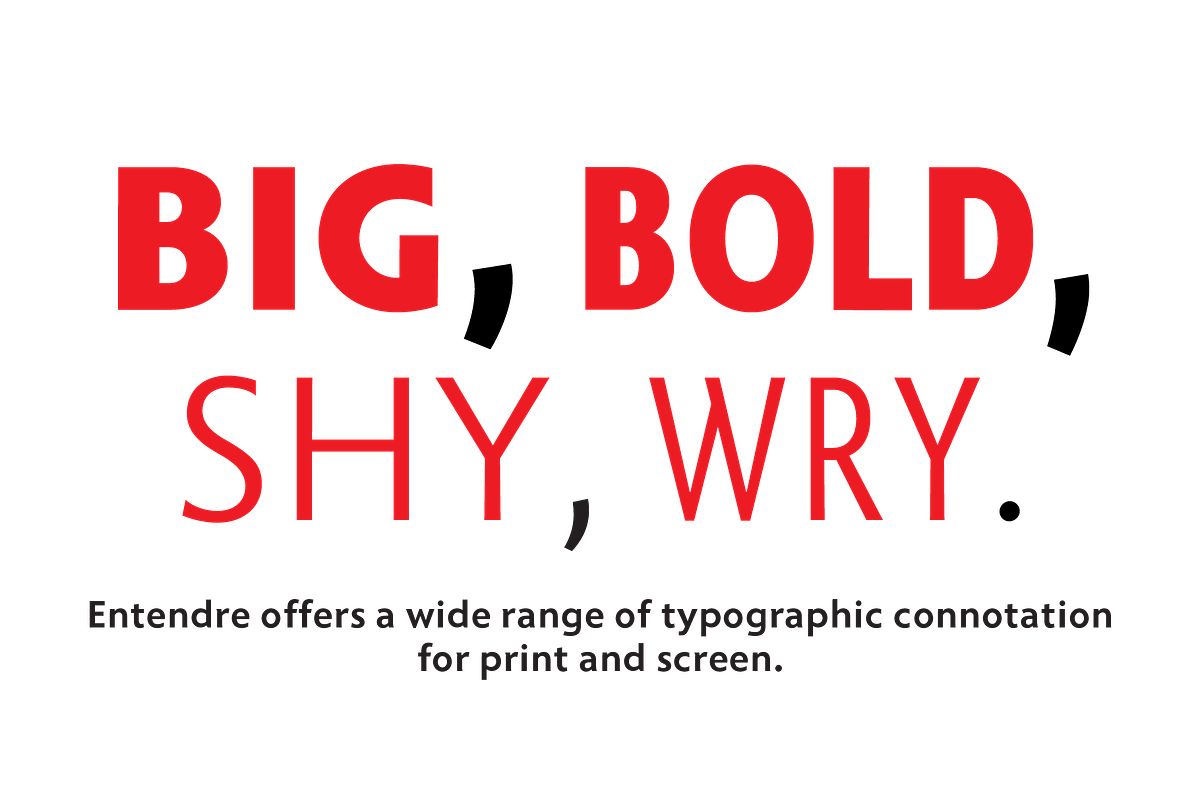 Entendre, a Sans Serif Font by Wordshape (Photo 6 of 8)