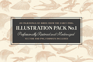 19 Vintage Fonts Bundle & Extras