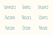 Novaline, a Handwritten Font by Dm Studio (Thumbnail 4 of 7)