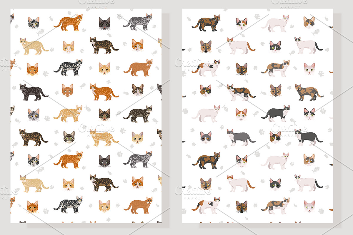 Domestic shorthair cat, an Animal Illustration by pet design shop (Photo 6 of 6)